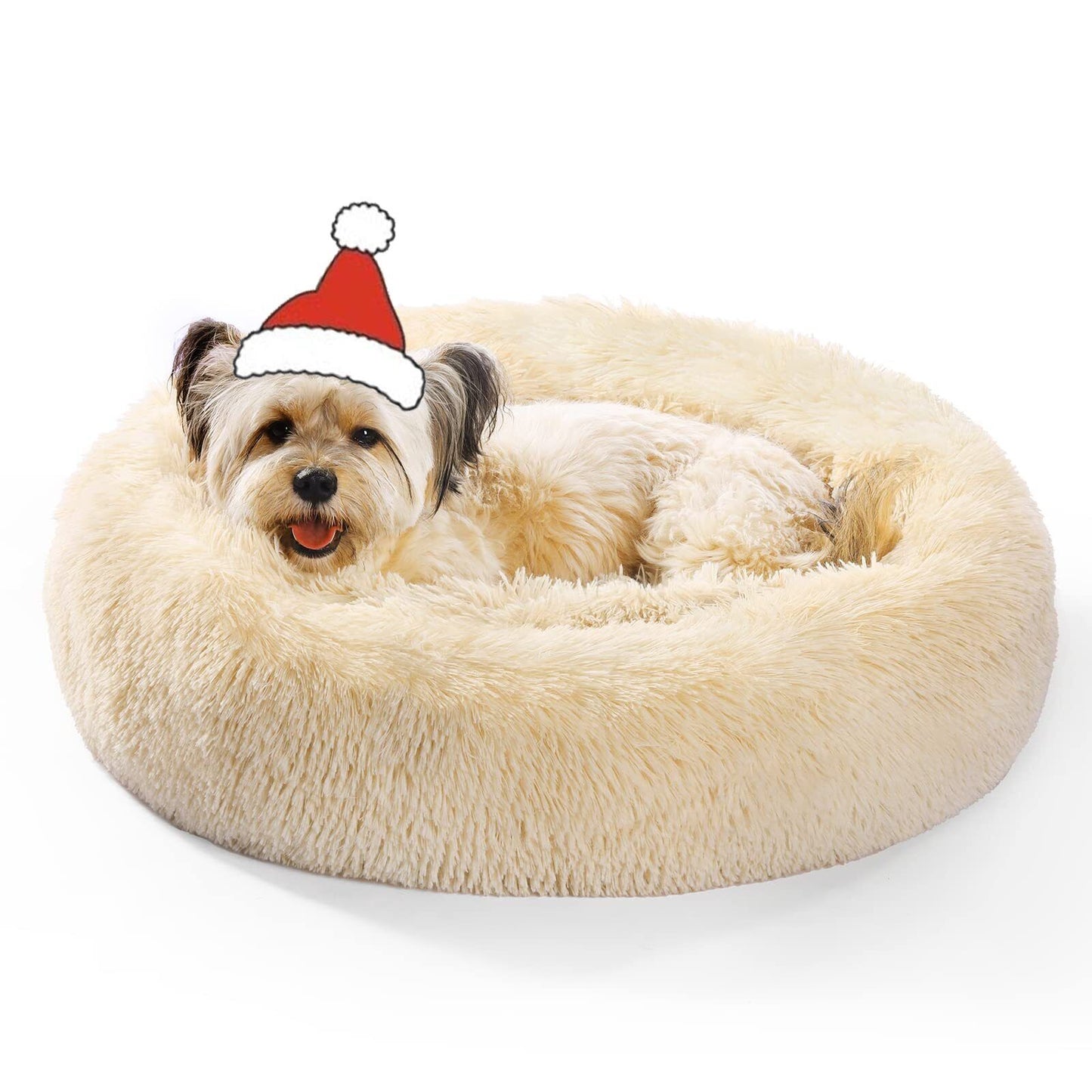 OYANTEN Small Dog Bed Bed Round Soft Fluffy Warm and Cozy 30 x30 in, Champagne)
