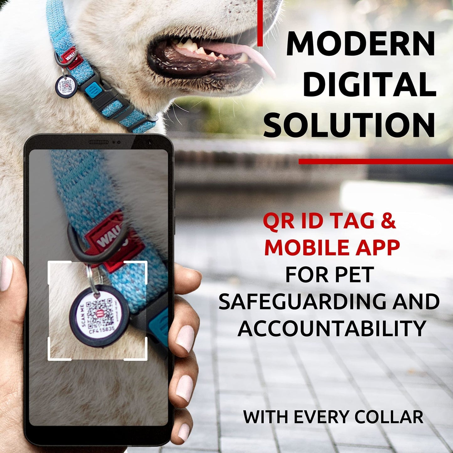 Blue Reflective Cotton Dog Collar Eco Friendly Alt to Nylon Collar for Small Medium and Large Dogs 14-23 inch Neck x 1 inch Wide Pet Collar with QR ID Tag