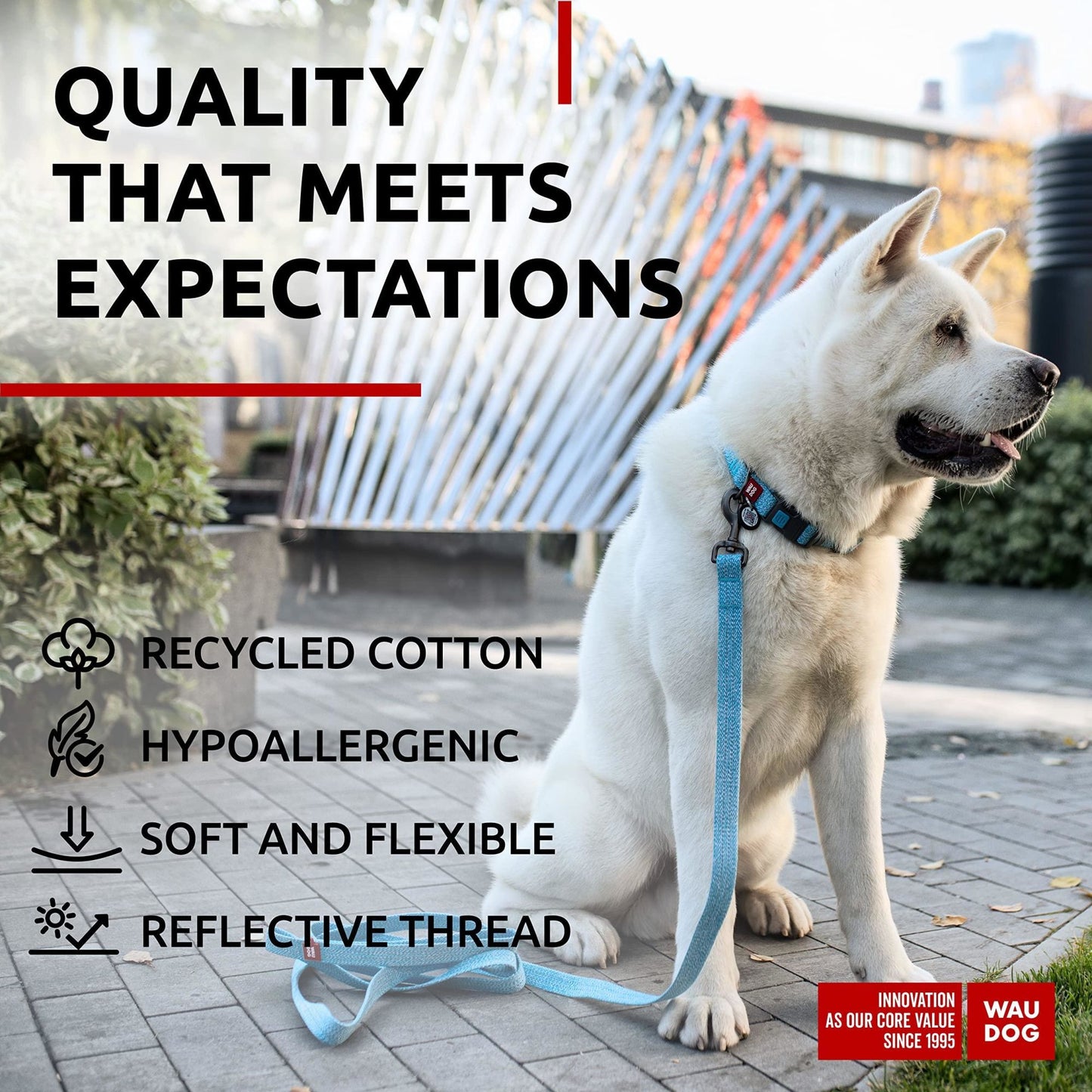 Blue Reflective Cotton Dog Collar Eco Friendly Alt to Nylon Collar for Small Medium and Large Dogs 14-23 inch Neck x 1 inch Wide Pet Collar with QR ID Tag