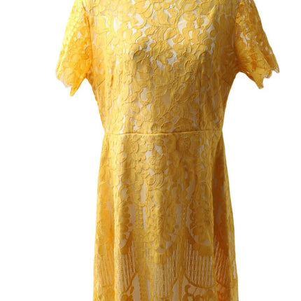 Women Dress MSLG Missy Women Yellow Lace Short Sleeve Dress Size Large