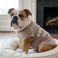 Collection image for: Pet Supplies