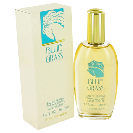 Perfume BLUE GRASS by Elizabeth Arden Eau De Parfum Spray 3.3 oz for Women - Banachief Outlet